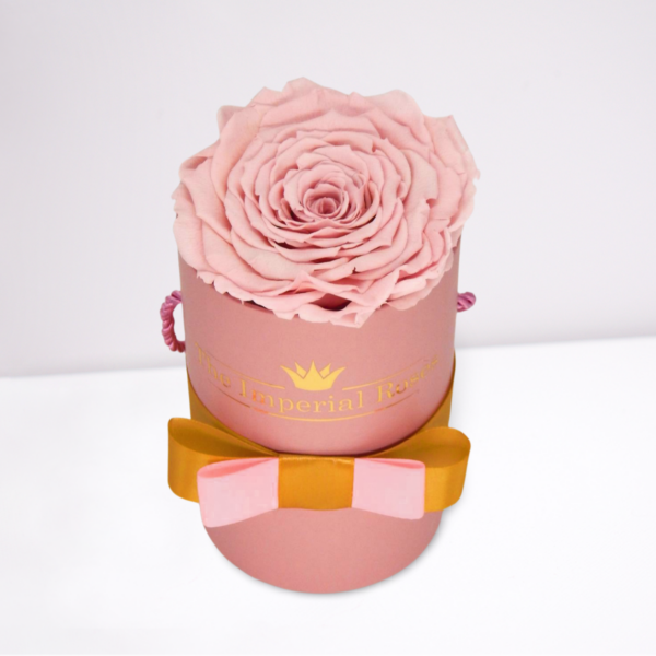 trvacna single ruza v boxe ruzovej farby so zlato ruzovou stuhou a zlatym logom the imperial roses