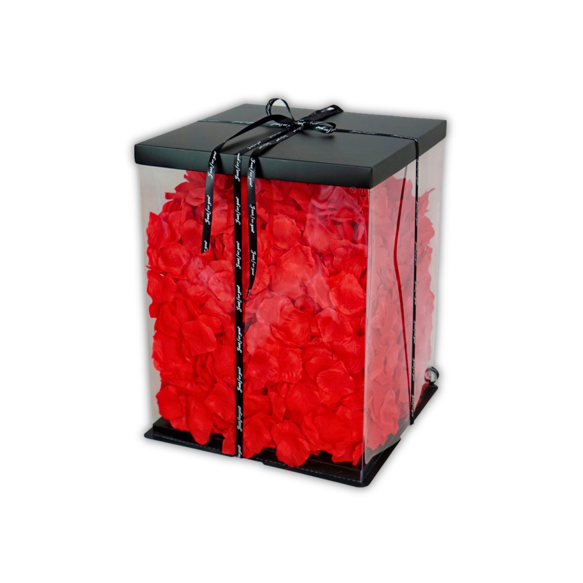 lupene zo stoviek červených ruží v priesvitnej darčekovej krabici