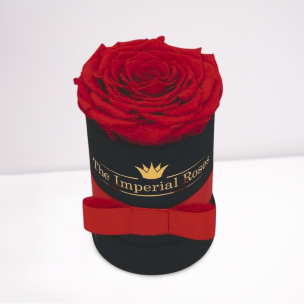 trvacna single ruza v boxe červenej farby s cervenou stuhou a zlatym logom the imperial roses